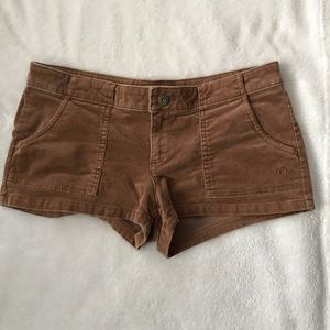 Hang ten corduroy short shorts